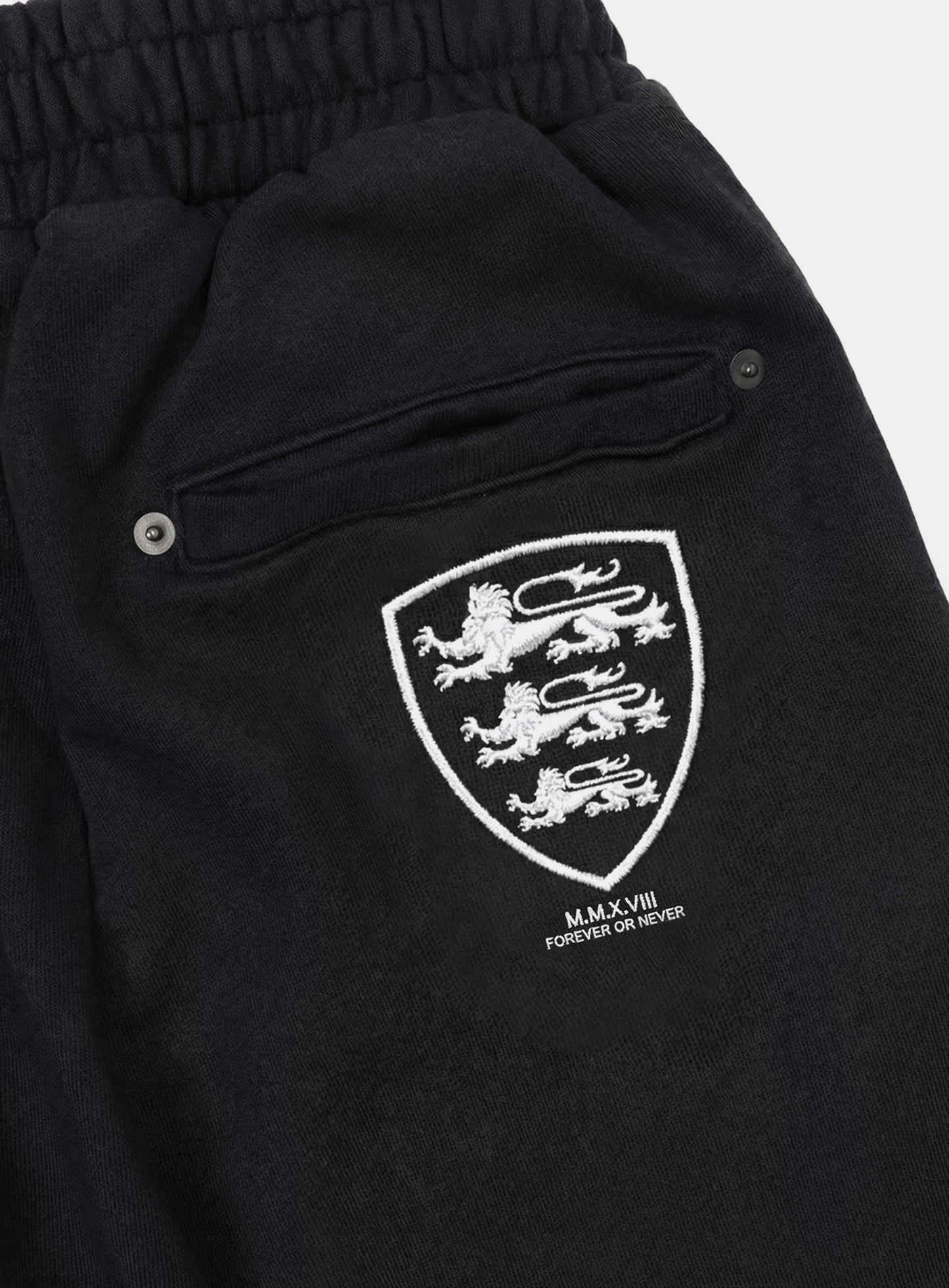 [w-pts26-061] Shield-M Semi-Curved Fit Joggers - Black