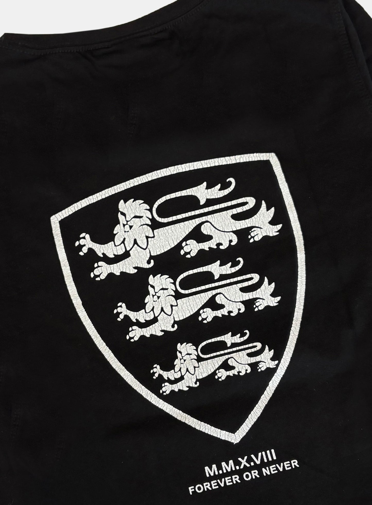 [w-tee26-021] Mystic Shield Print Fitted Long Sleeve T-Shirt - Black