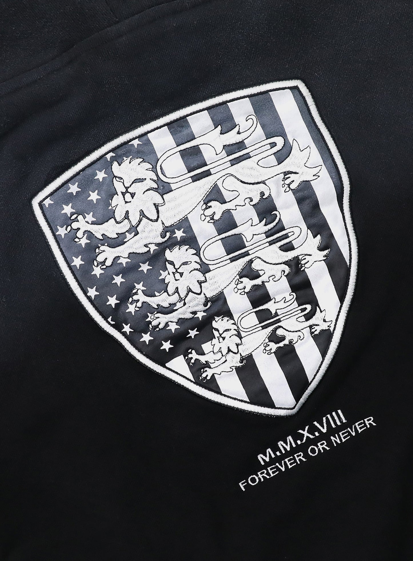 [w-hde25-092] Shield Old Glory Hood - Dusty Black